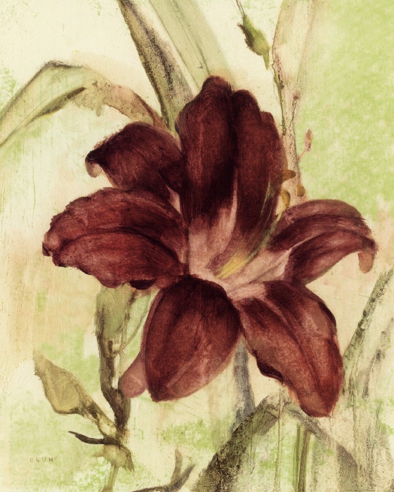 561x700 Cheri Blum Burgundy Day Lily Painting - Blum Painting