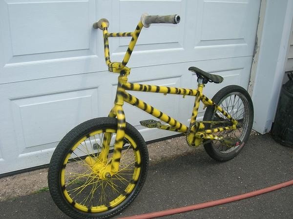 600x449 New Paint - Bmx Bike Painting