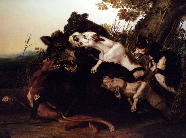 600x447 The Boar Hunt By P Vallati - Boar Hunt Painting