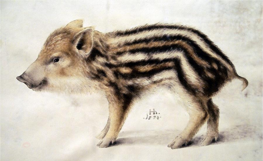 900x551 A Wild Boar Piglet Painting By Hans Hoffmann - Boar Painting