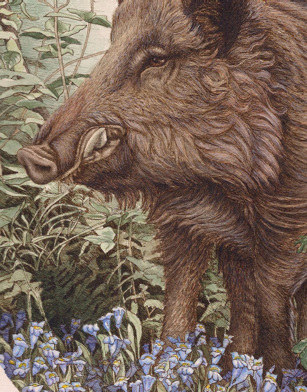 1024x1307 Wild Boar Painting Wild Boar With Foliage Undomesticated Animal - Boar Painting