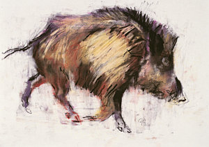 300x212 Wild Boar Paintings Fine Art America - Boar Painting