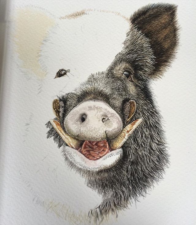 640x736 Day 4 Wild Boar - Boar Painting