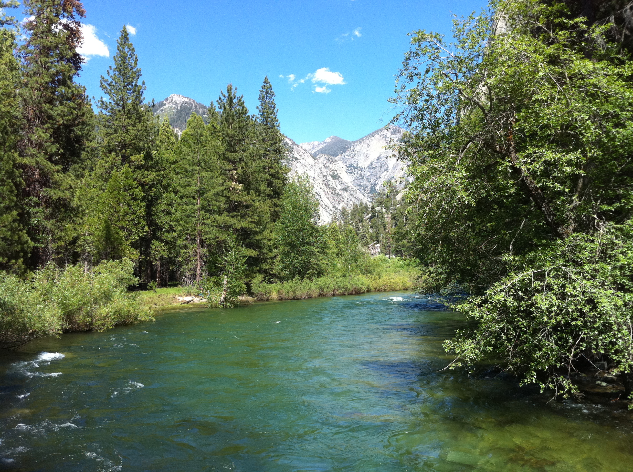 2592x1936 Index Of Wp Contentuploads201006 - Bob Ross Original Painting Price