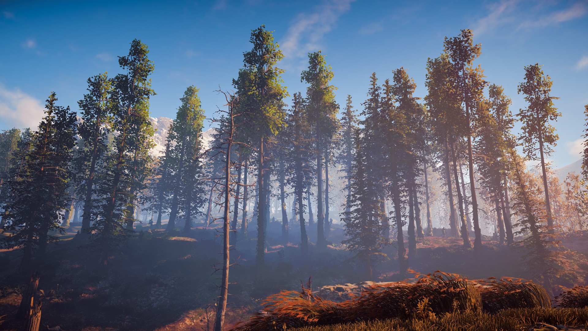1920x1080 Bob Ross Painting Or Horizon Zero Dawn Screenshot Gaming - Bob Ross Painting