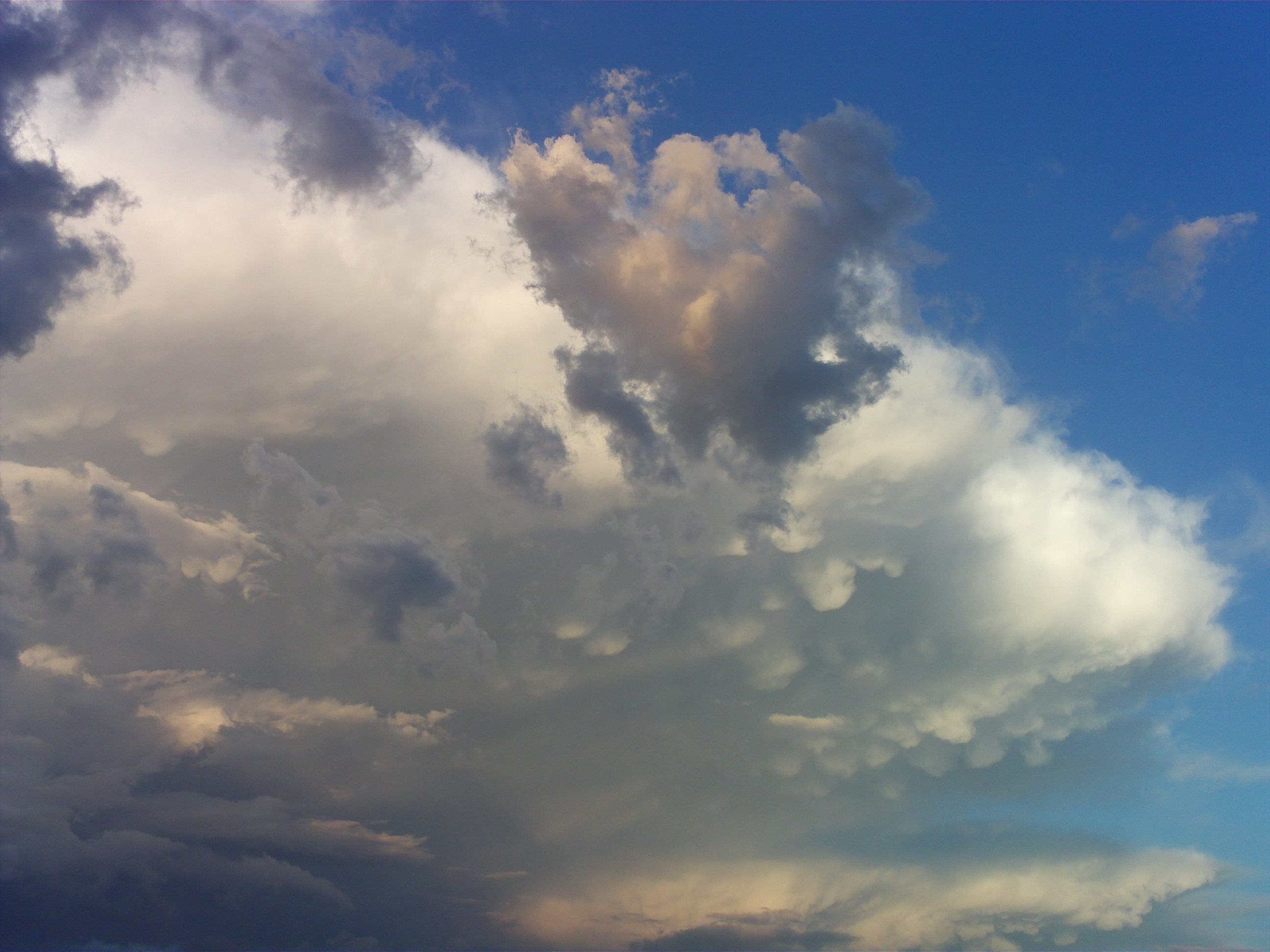 2592x1944 Unbelief Rebecca Aarup - Bob Ross Painting Authentic