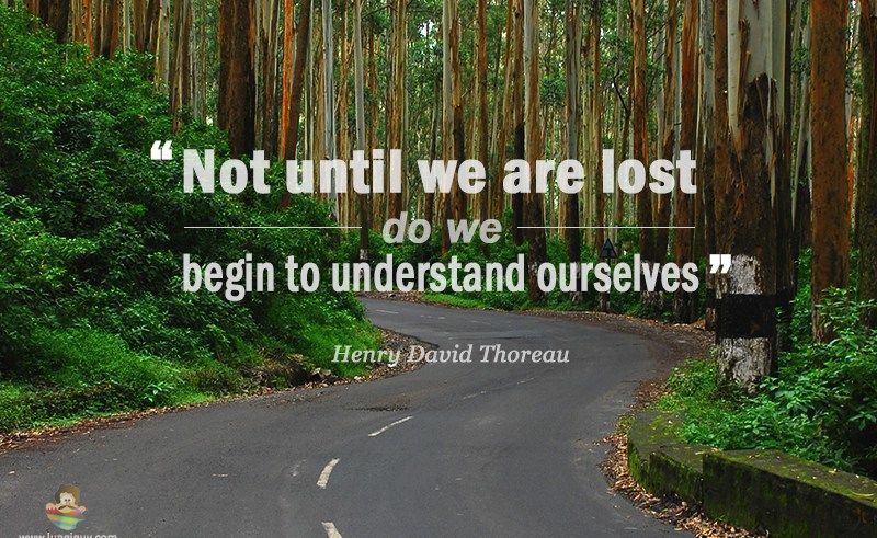 800x491 Original Bob Ross Painting - Bob Ross Painting Buy Original