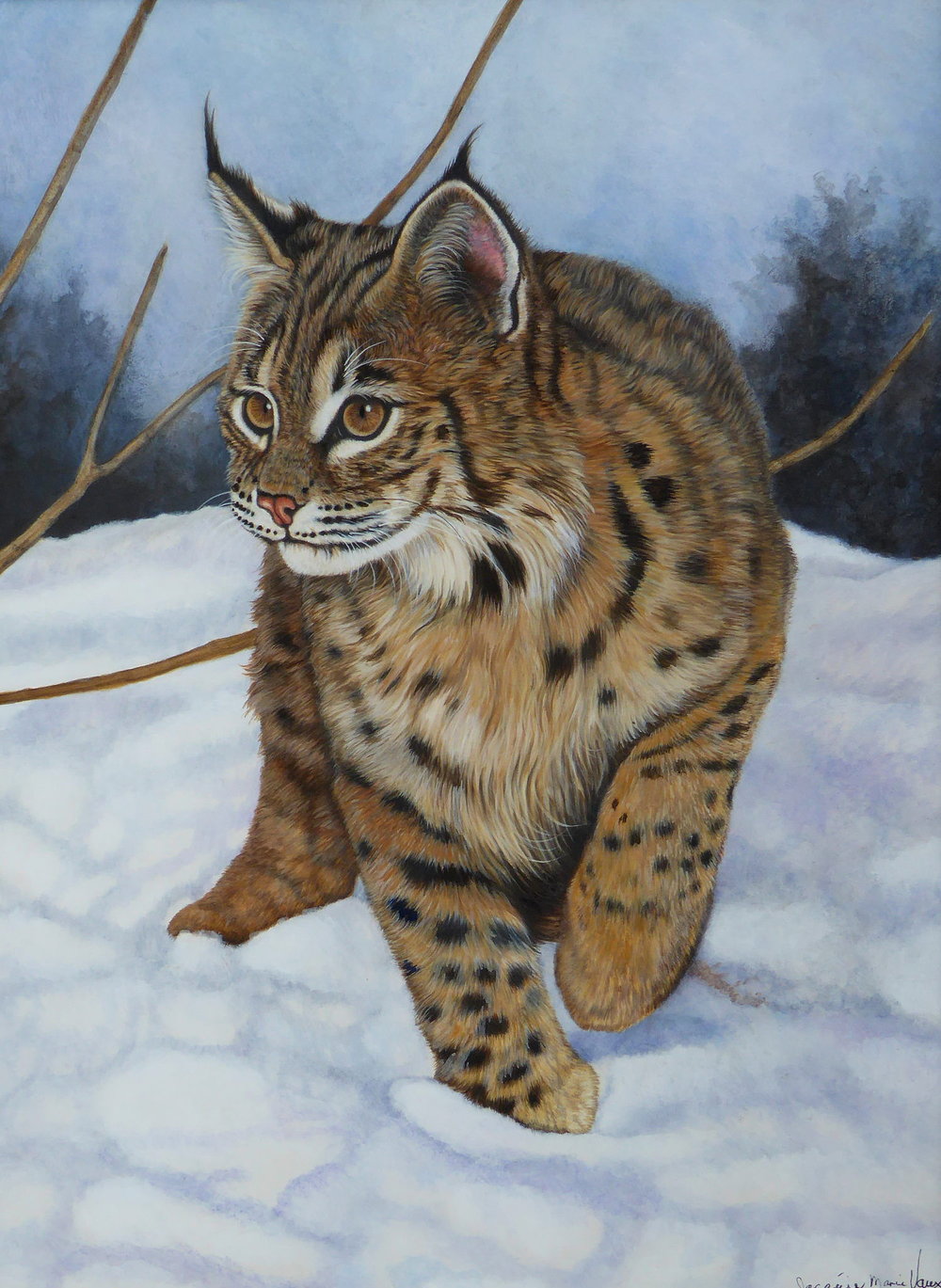 Bobcat Painting at PaintingValley.com | Explore collection of Bobcat