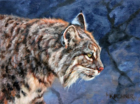 576x428 Cats - Bobcat Painting