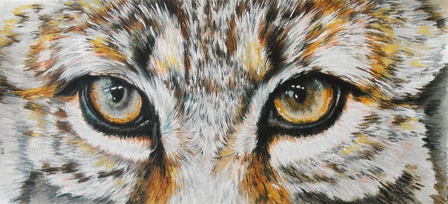 900x411 Eye Catching Bobcat Painting Cat Drawing Cat - Bobcat Painting