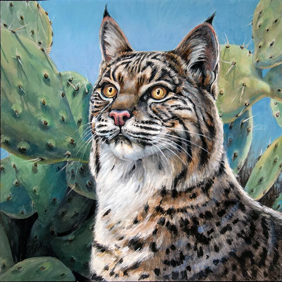 Bobcat Painting at PaintingValley.com | Explore collection of Bobcat