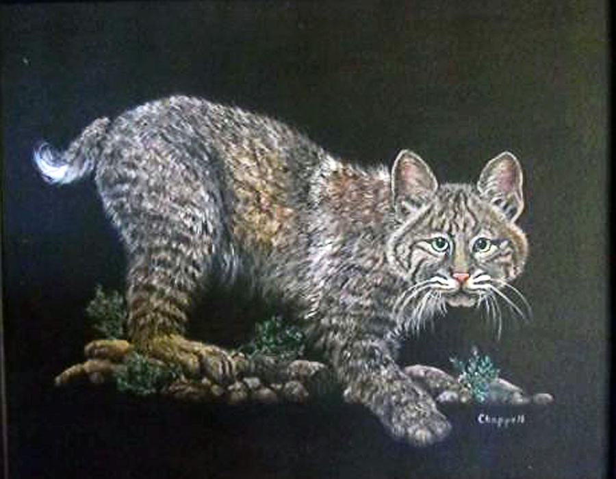 900x700 Juvi Bobcat Painting By Karen Chappell - Bobcat Painting
