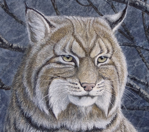 570x505 Original Bobcat Painting - Bobcat Painting