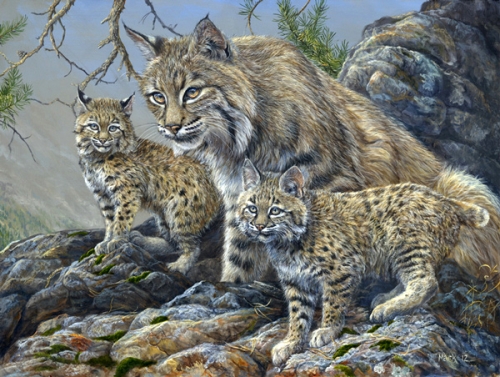 500x377 Bobcat Painting Archives - Bobcat Painting