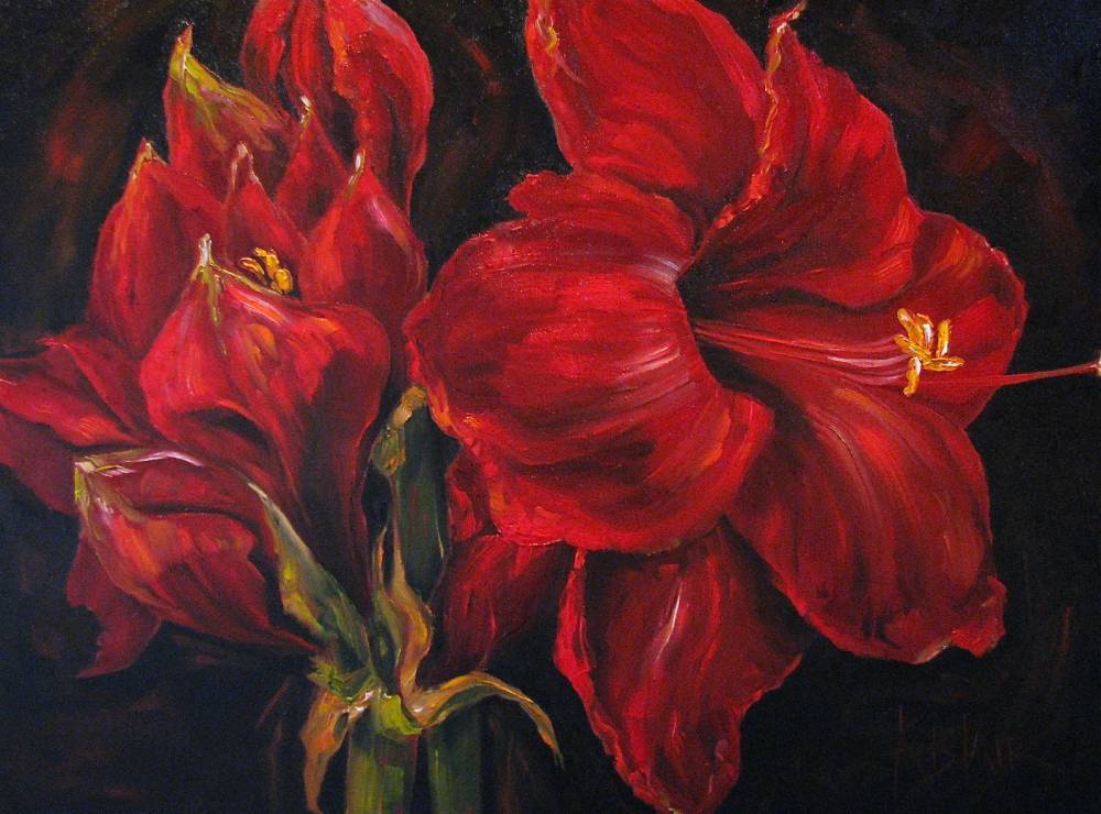 1000x740 Kim Blair Amaryllis Floral Painting, Bolero Red, By Canadian - Bolero Painting