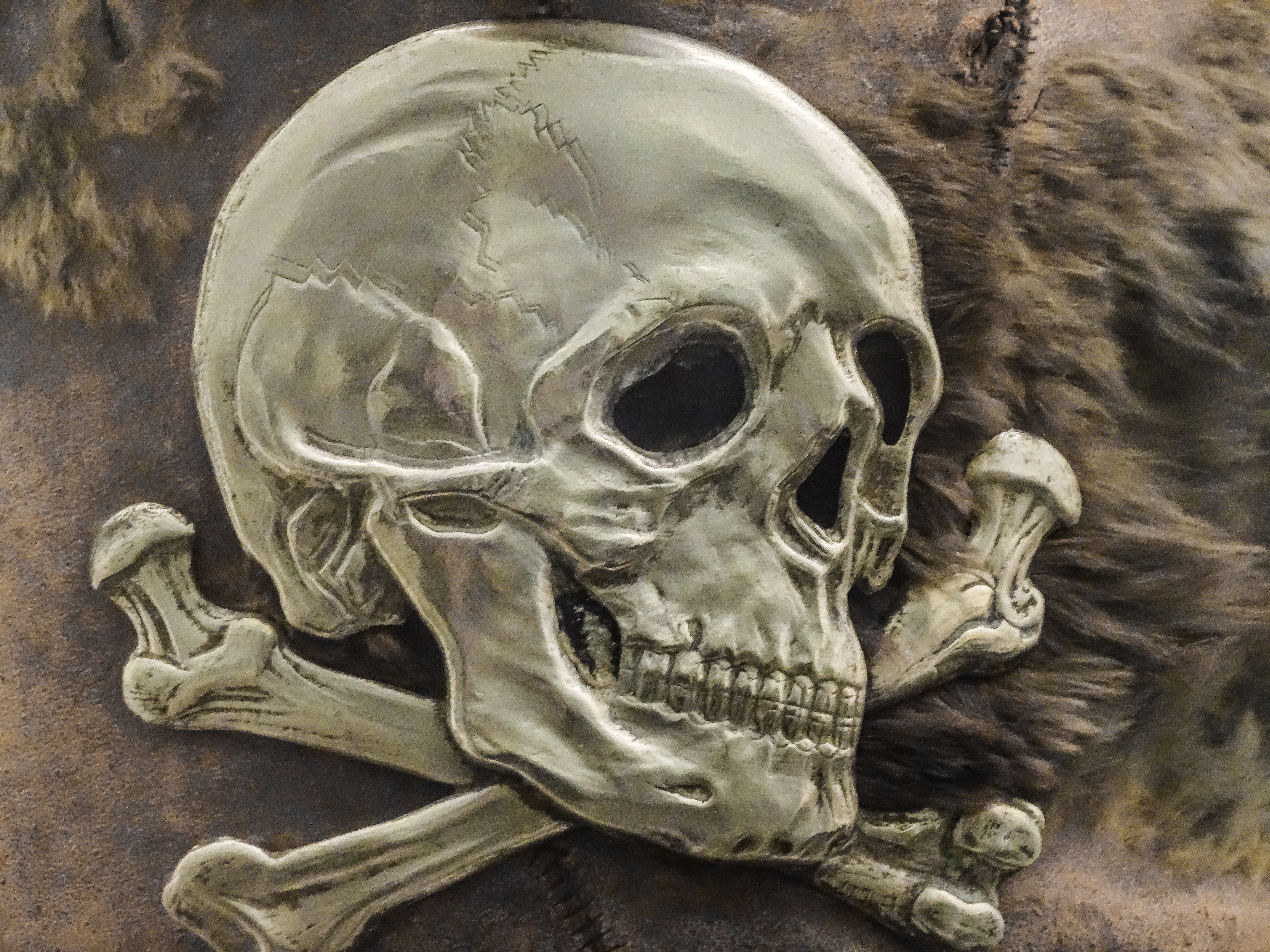 5184x3888 Free Images Death, Skull, Bone, Painting, War, Logo, Skeleton - Bone Painting