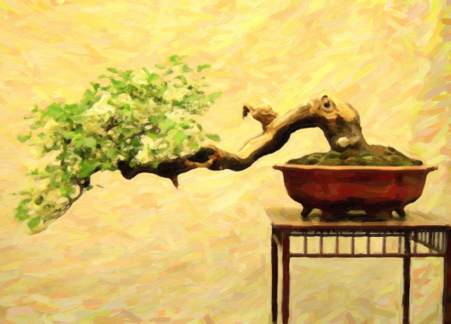 900x646 Bonsai In Art Form Acrylic Painting By Motionage Designs - Bonsai Painting