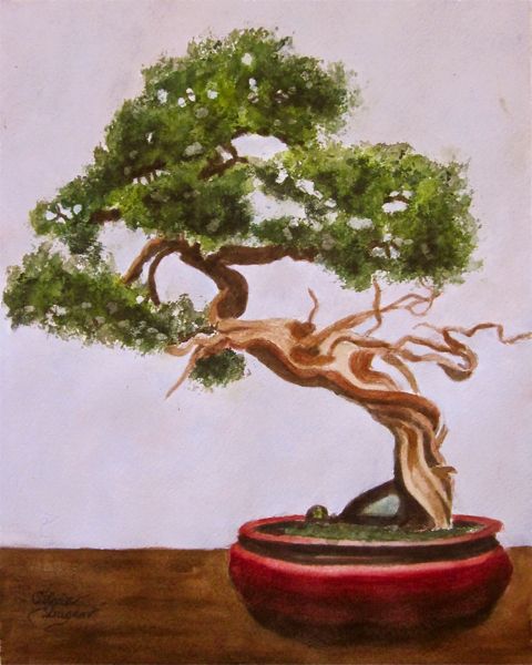 480x600 Bonsai Tree - Bonsai Painting