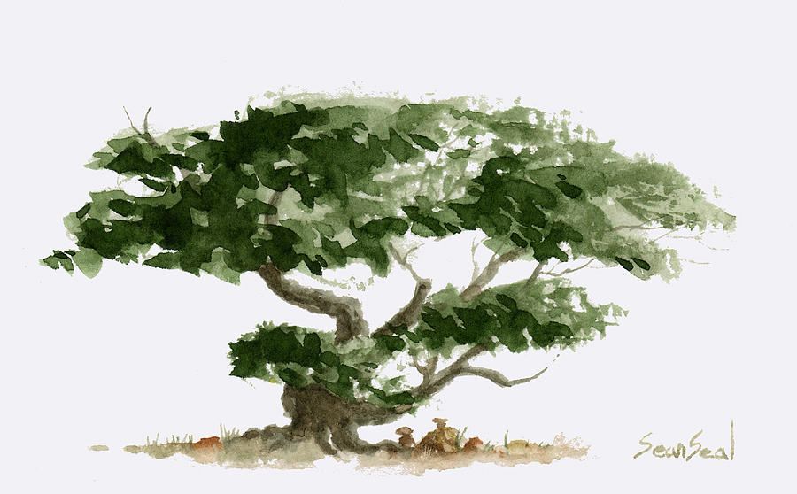 900x558 Little Tree 5 Painting By Sean Seal - Bonsai Painting
