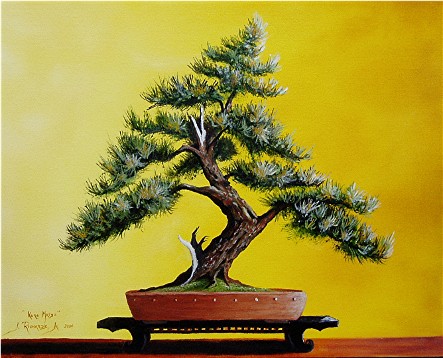 Bonsai Painting at PaintingValley.com | Explore collection of Bonsai ...