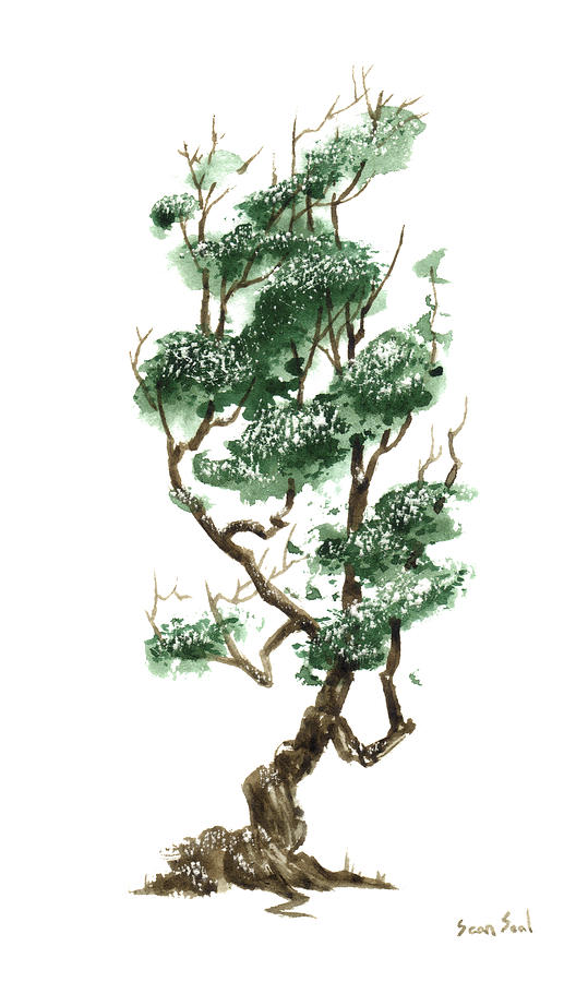 Bonsai Tree Painting at PaintingValley.com | Explore collection of ...