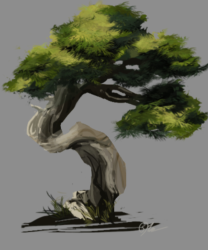 417x500 Tree Study By Steviemac - Bonsai Tree Painting