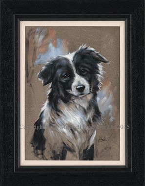 297x380 Border Collie Paintings In Autumn Exhibition 2015 - Border Collie Painting