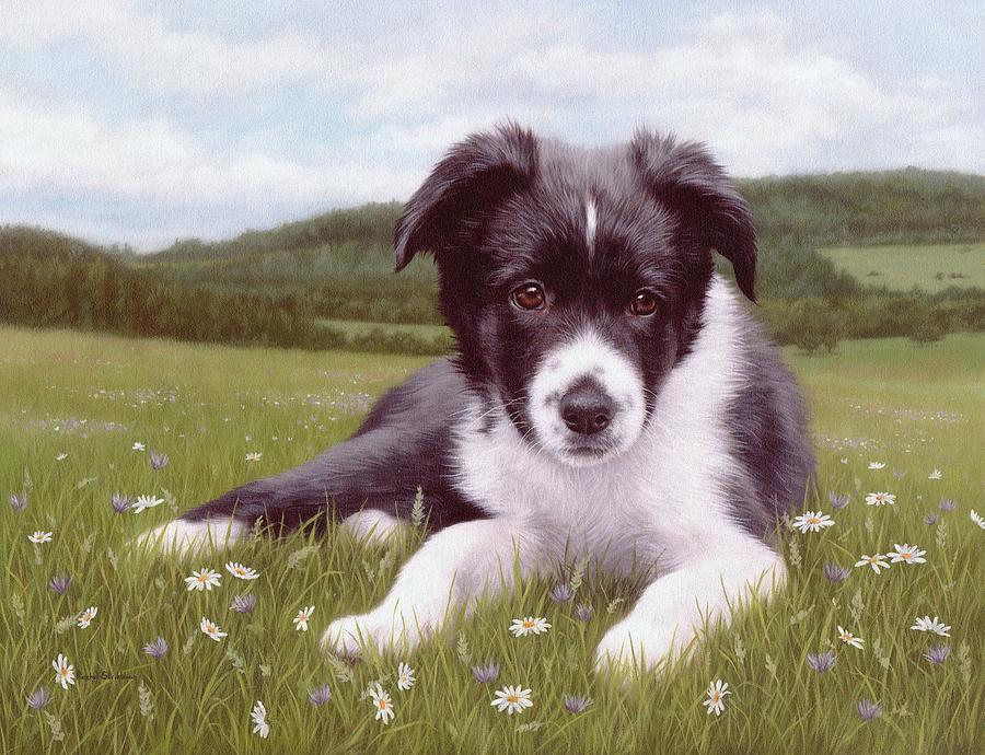 900x690 Border Collie Puppy Painting Painting By Rachel Stribbling - Border Collie Painting