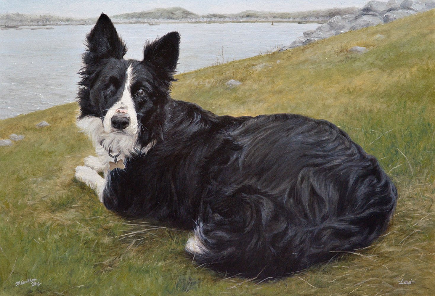 1469x1000 Dog Portrait Painting - Border Collie Painting