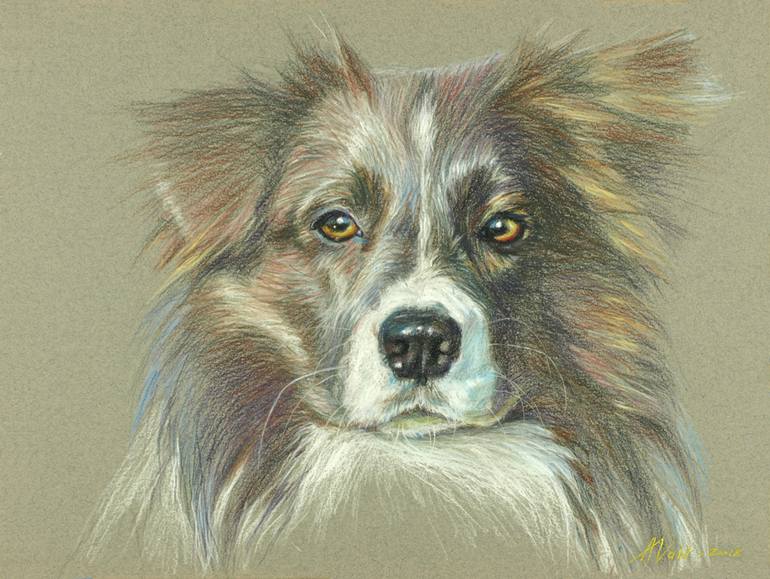 770x579 Saatchi Art Border Collie Original Pastel Painting Painting By - Border Collie Painting