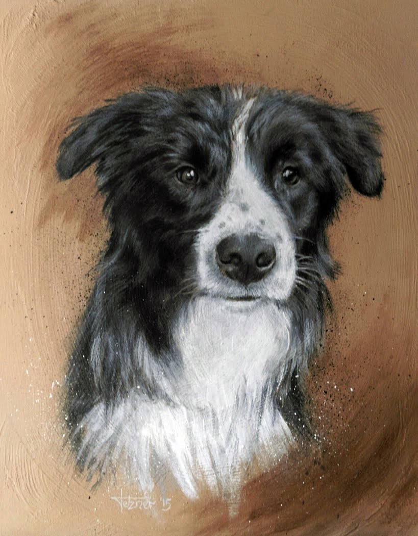 Border Collie Painting at PaintingValley.com | Explore collection of ...