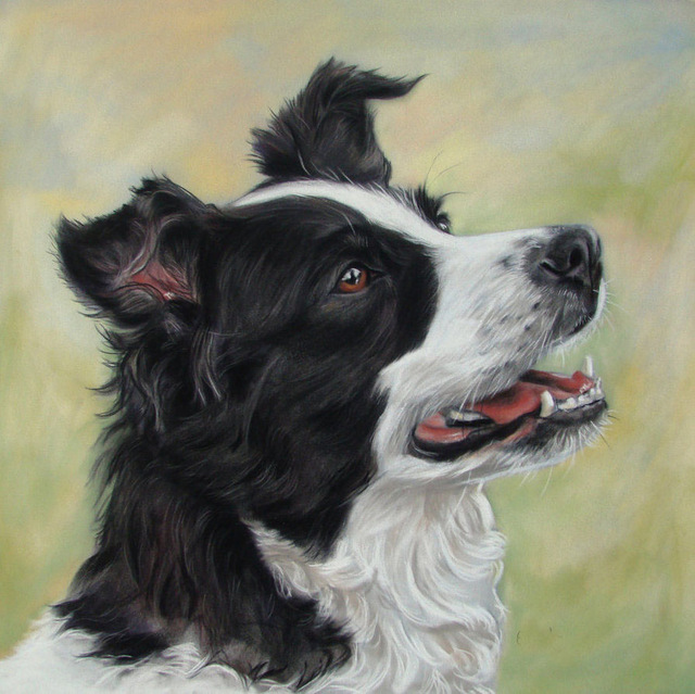 640x639 Animal Art Border Collie Dog Painting Top Hand Painted Art Oil - Border Collie Painting