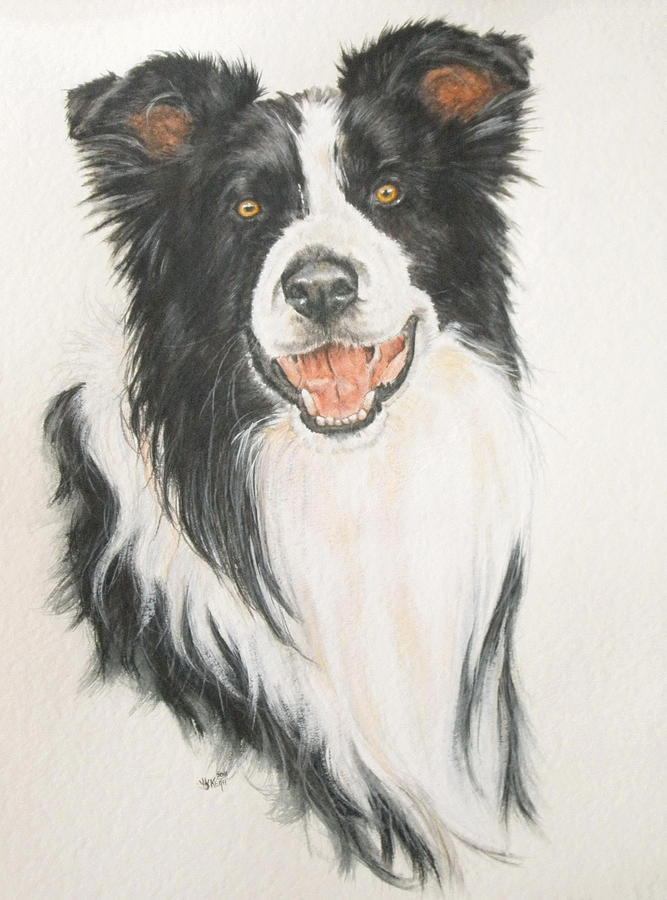667x900 Border Collie Painting By Barbara Keith - Border Collie Painting