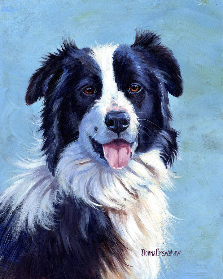 720x900 Border Collie Painting By Donna Crawshaw - Border Collie Painting