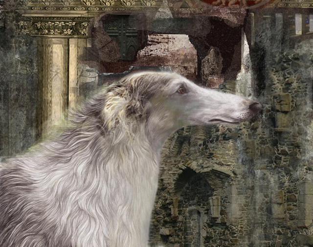 640x504 Airton Sobreira Artwork Borzoi Original Digital Painting Dogs Art - Borzoi Painting