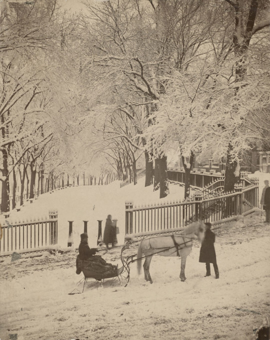 540x680 See Snowflakes, Boston Sleigh Rides And 2 Centuries Of New - Boston Common Painting
