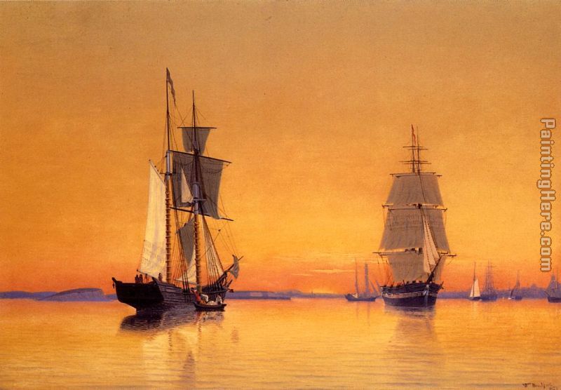 800x556 William Bradford Ships In Boston Harbor - Boston Harbor Painting