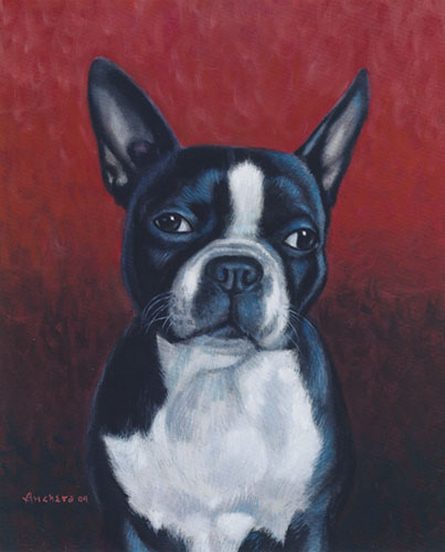 403x500 Boston Terrier Painting By Richard Ancheta - Boston Oil Painting