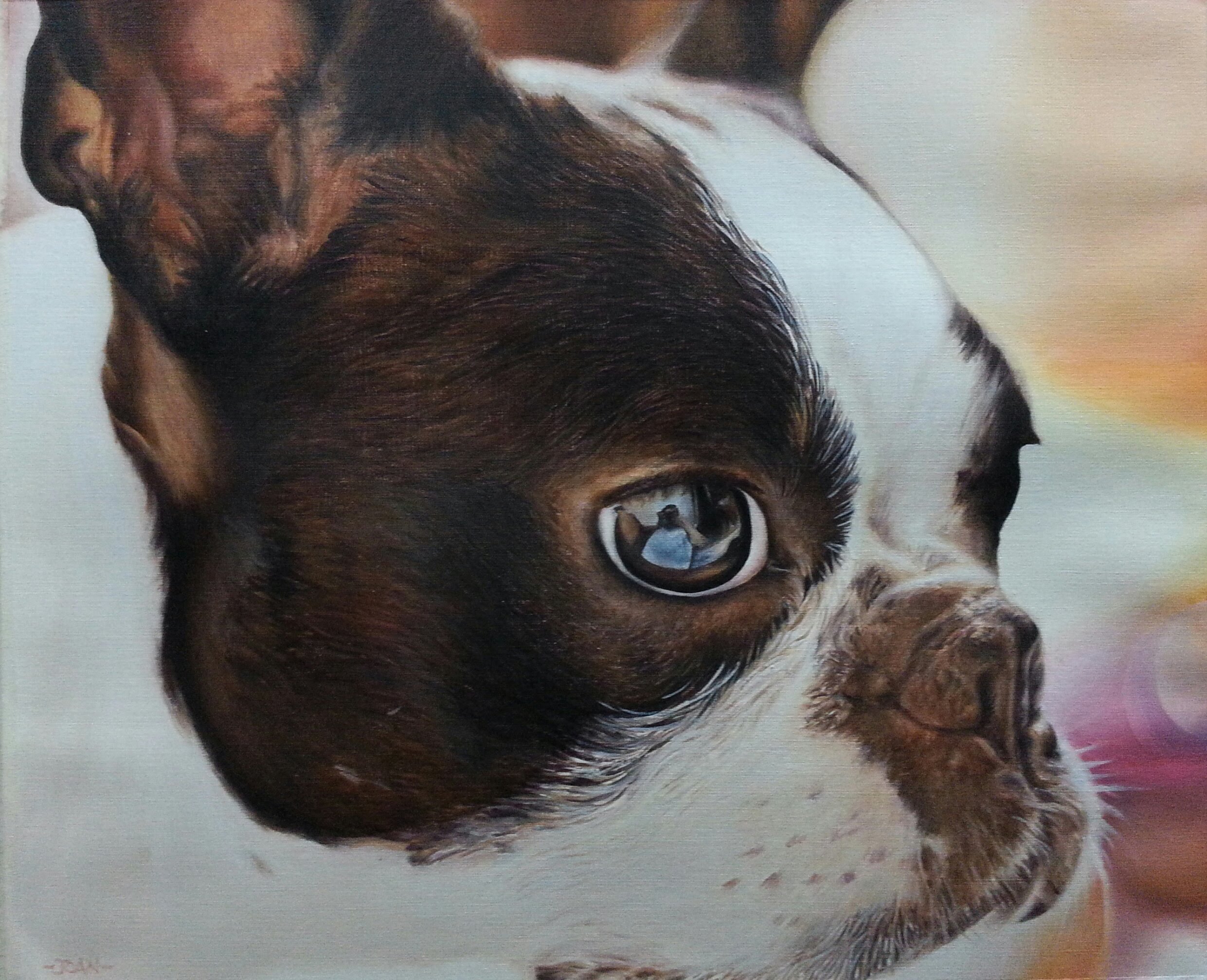 2481x2015 Boston Terrier Acrylic Painting - Boston Terrier Oil Painting