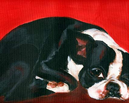 425x340 Boston Terrier Painting Dog 11x14 Fine Art Print Oil - Boston Terrier Oil Painting