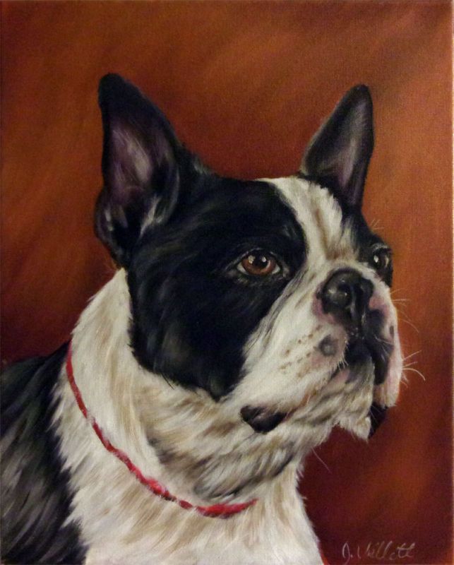 643x800 Painting Original Boston Terrier Dog Portrait Oil Painting - Boston Terrier Oil Painting