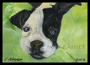 300x218 Puppy Love ~ Original Oil Painting Boston Terrier Dog Pup Aceo - Boston Terrier Oil Painting