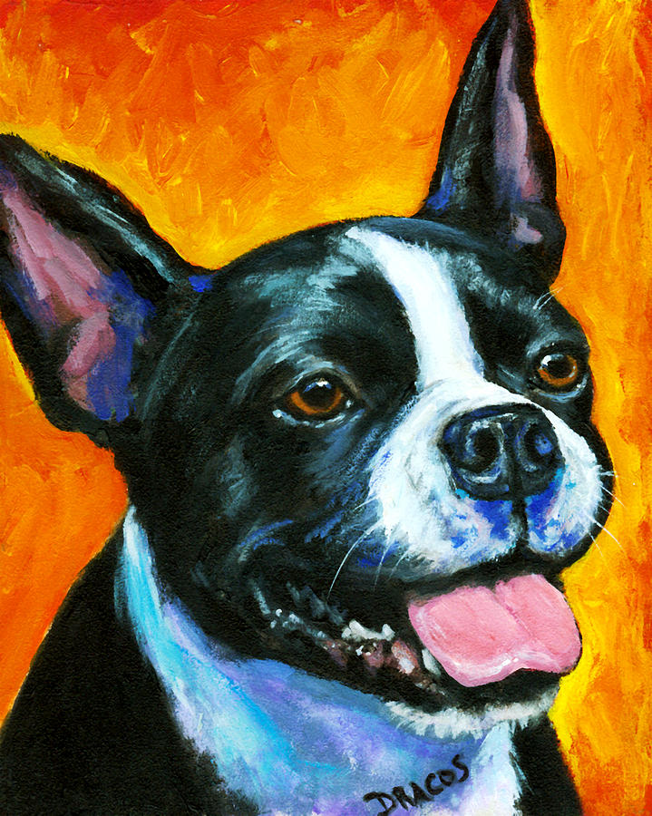 719x900 Boston Terrier On Orange Painting By Dottie Dracos - Boston Terrier Painting
