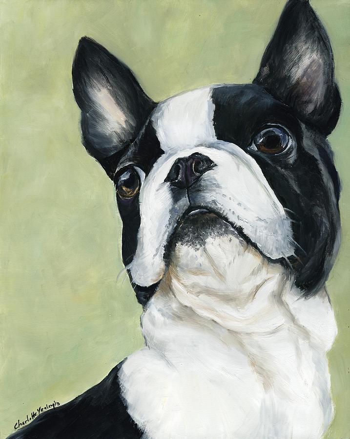 717x900 Boston Terrier Painting By Charlotte Yealey - Boston Terrier Painting