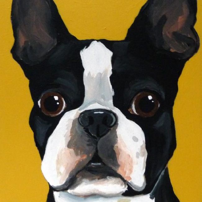 650x651 Boston Terrier Painting. Boston Terrier Dog Art Portraits - Boston Terrier Painting