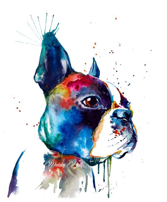 570x690 Colorful Boston Terrier Art Print - Boston Terrier Painting