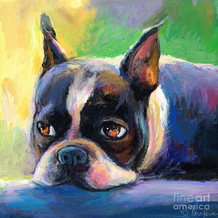 900x900 Pensive Boston Terrier Dog Painting Painting By Svetlana Novikova - Boston Terrier Painting