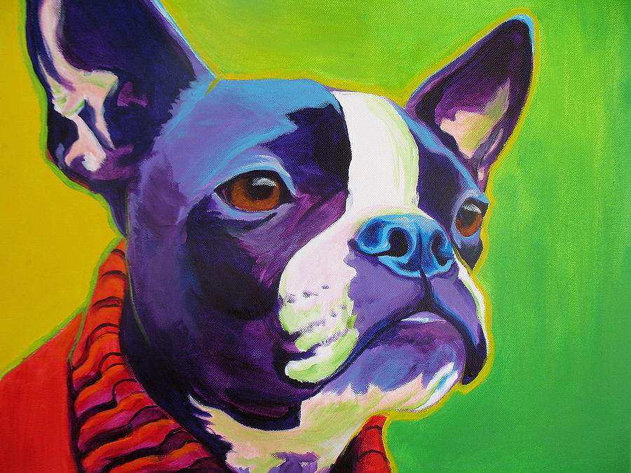 900x675 Boston Terrier - Boston Terrier Painting
