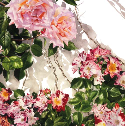 500x507 Top Tips For Botanical Painting - Botanical Painting