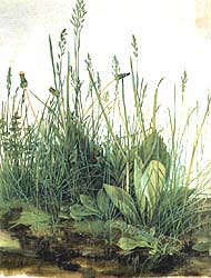 190x250 Handprint Botanical Illustration - Botanical Painting